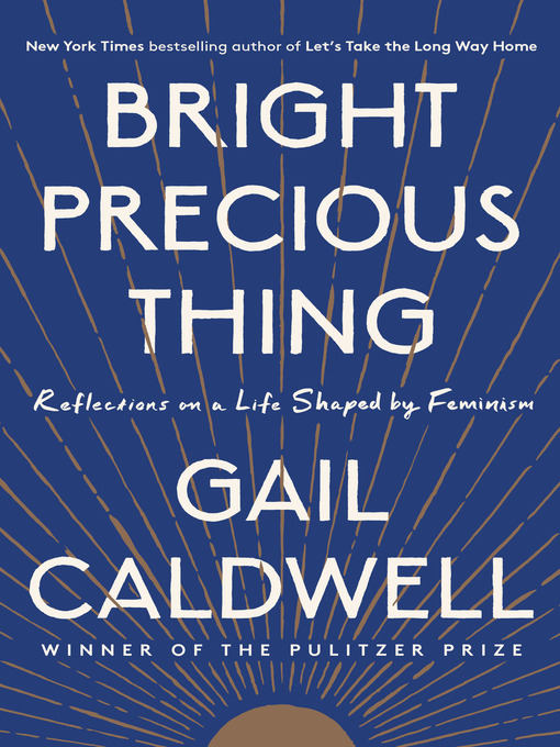 Cover image for Bright Precious Thing
